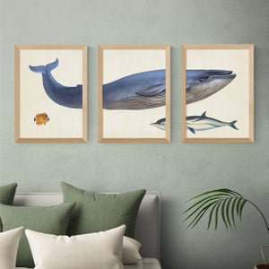 East End Prints Set Of 3 Whale Prints