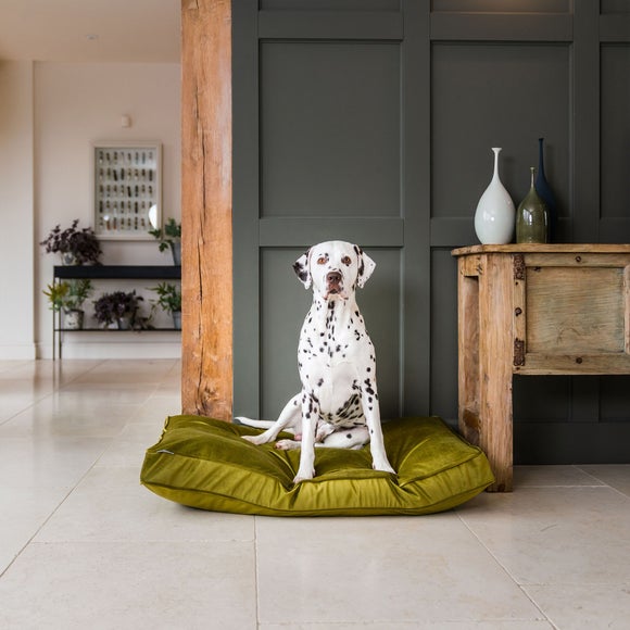 Lords & Labradors Velvet Pet Cushion