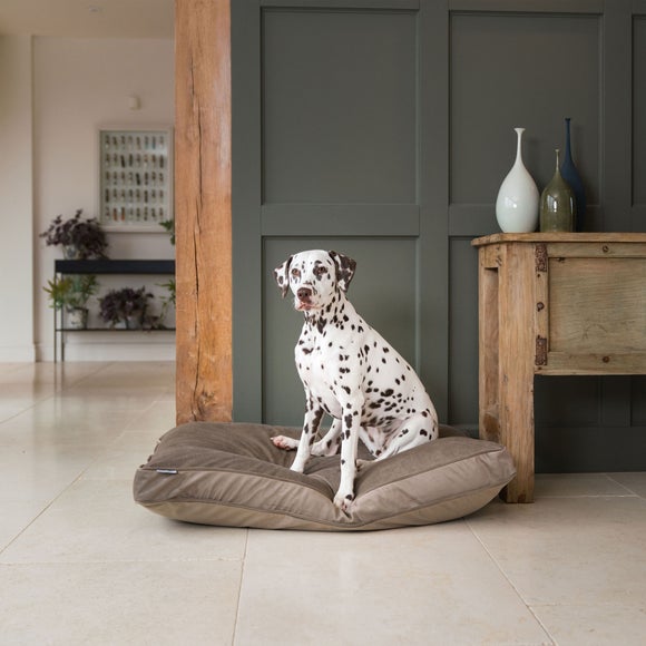 View Lords & Labradors Velvet Pet Cushion View Lords & Labradors Velvet Pet Cushion