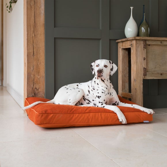 Lords & Labradors Velvet Pet Cushion