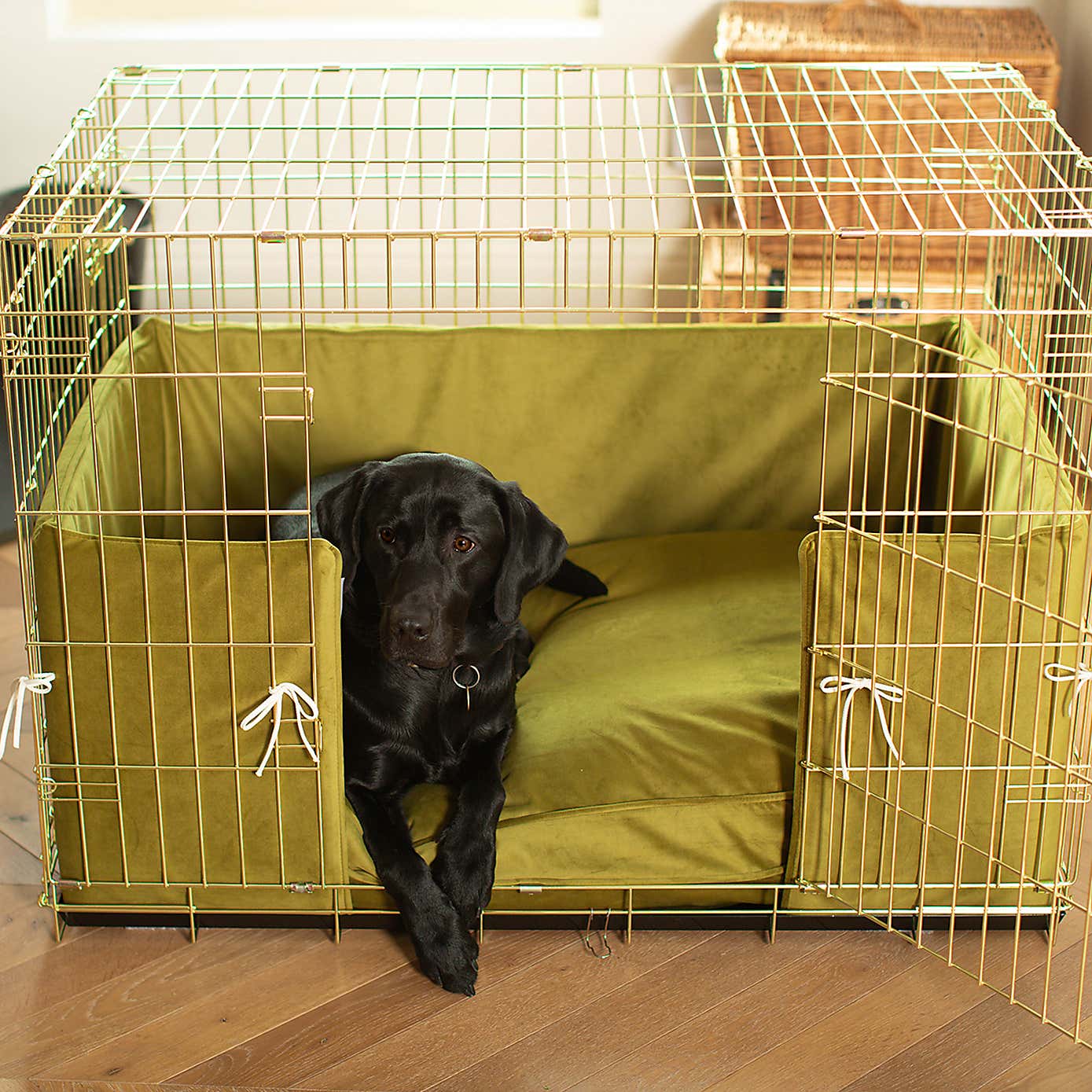 Carousel zoom image position 1 of 2