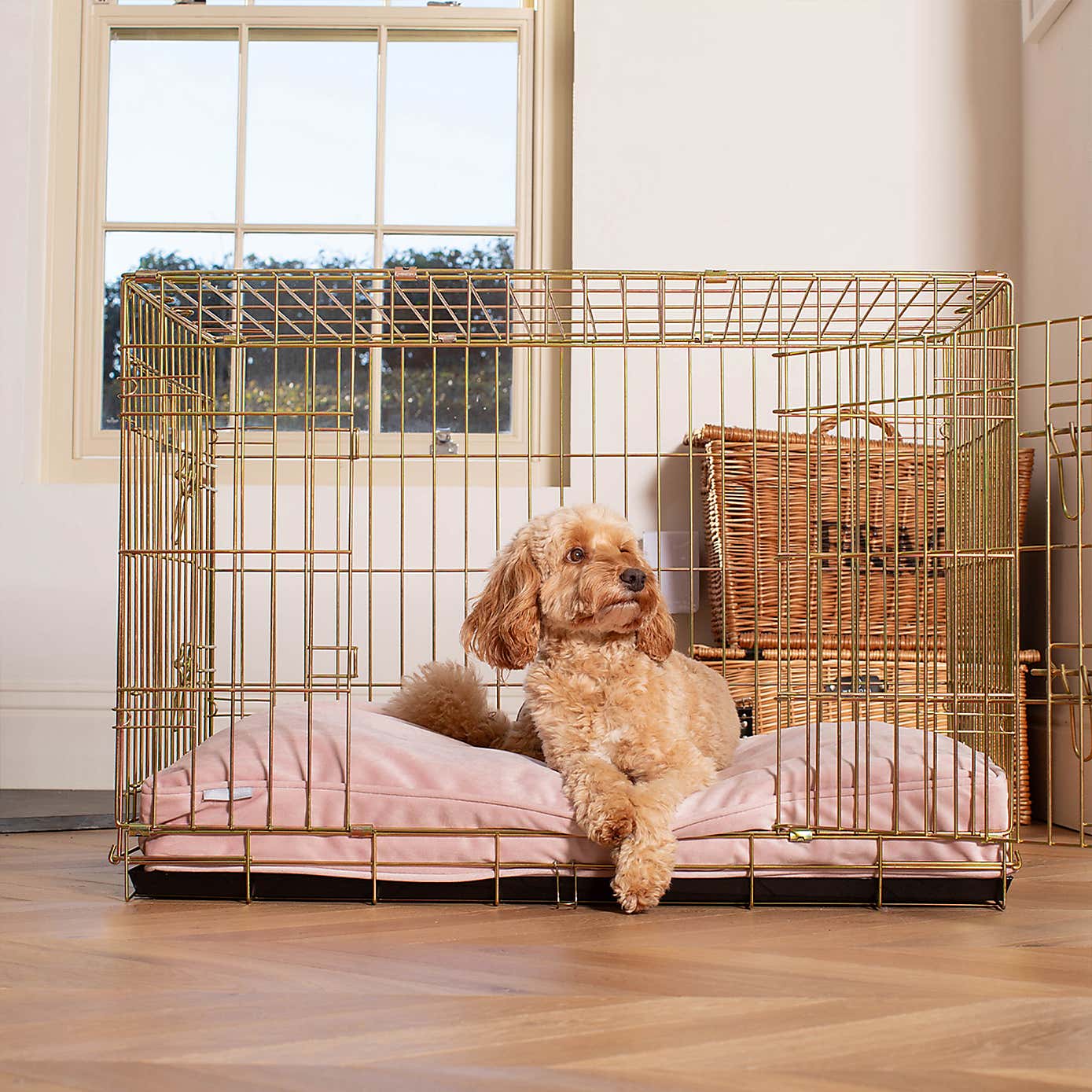 Carousel zoom image position 3 of 3