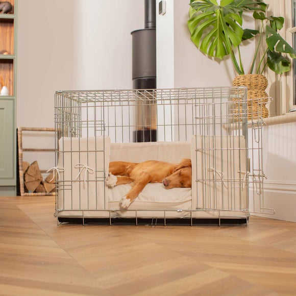 Lords & Labradors Savanna Bone Pet Bumper Cushion Set