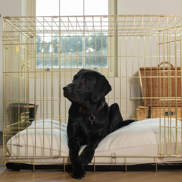 Carousel navigation image position 3 of 3