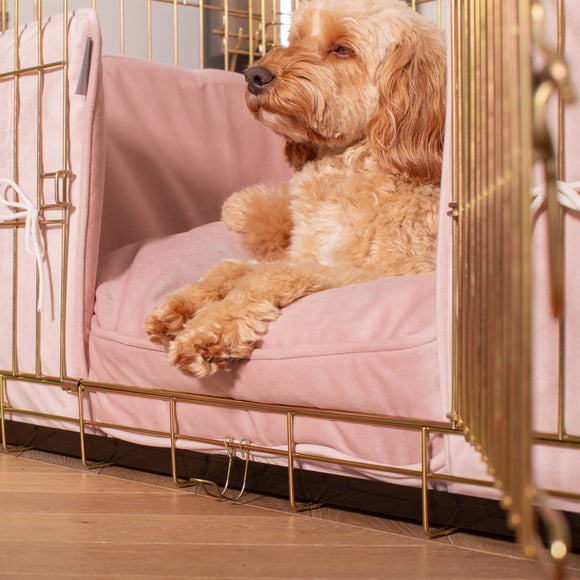 Carousel navigation image position 3 of 3