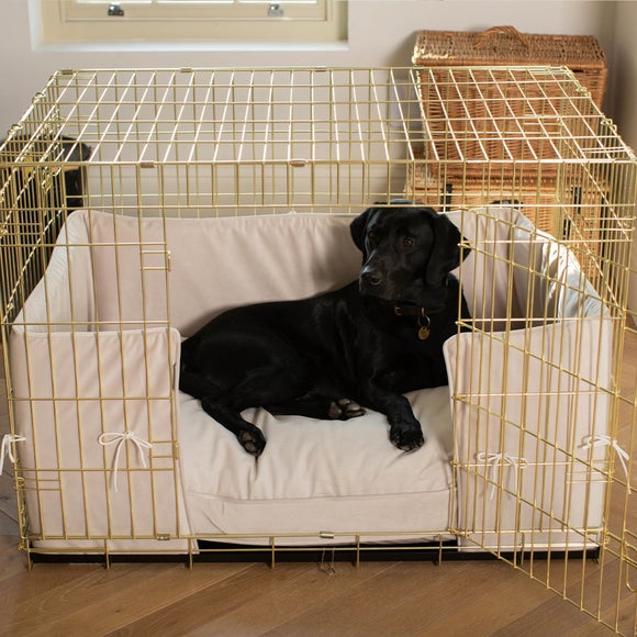 Lords & Labradors Velvet Champagne Pet Bumper Cushion Set