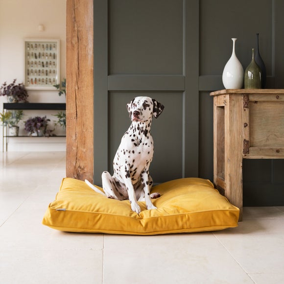 View Lords & Labradors Velvet Pet Cushion View Lords & Labradors Velvet Pet Cushion