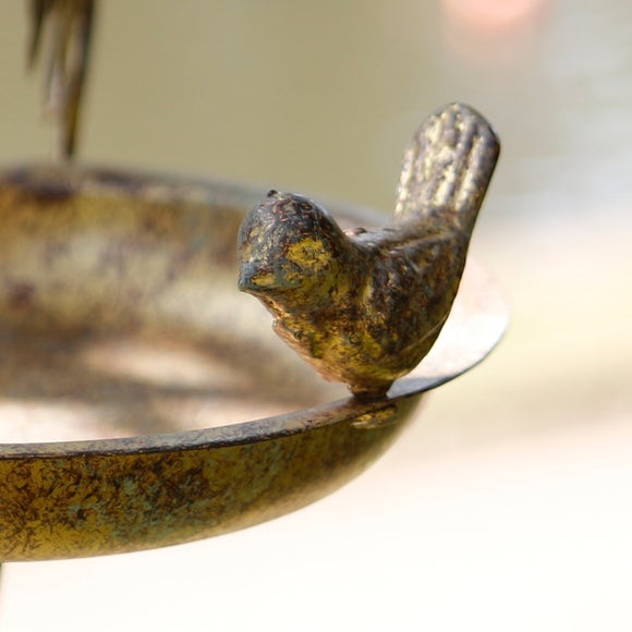 Carousel navigation image position 2 of 3