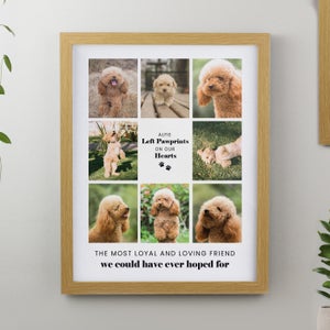 Personalised Pet Multi Photo Framed Print