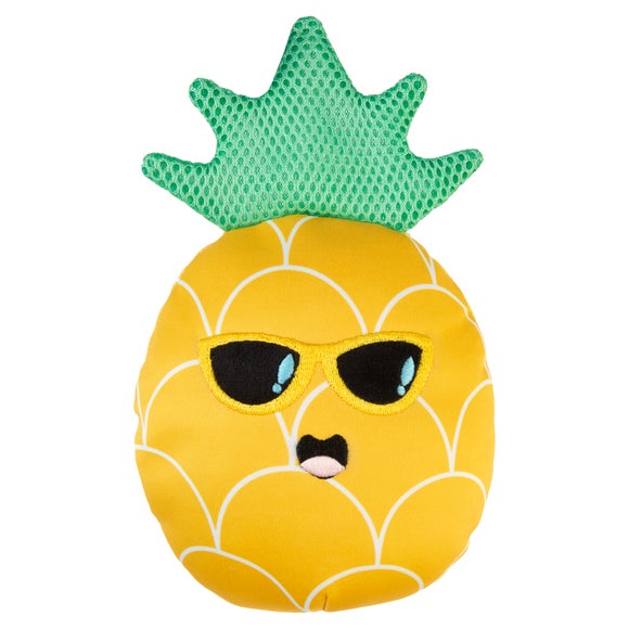 Pineapple Floating Pet Toy