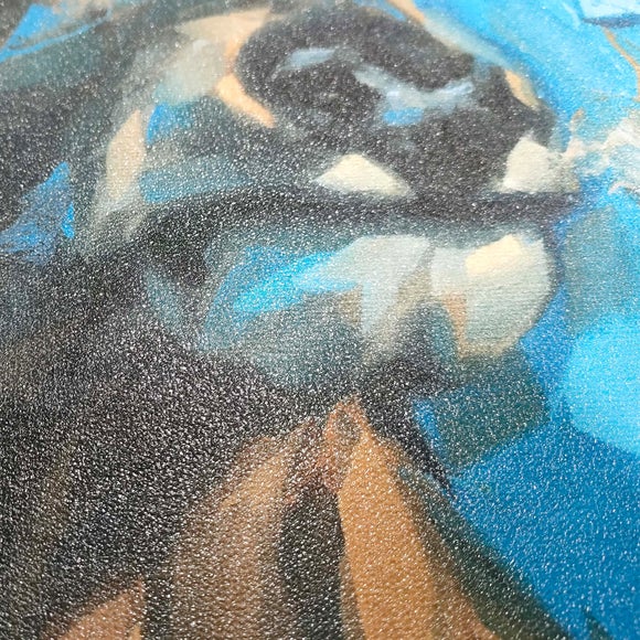 Carousel navigation image position 5 of 5