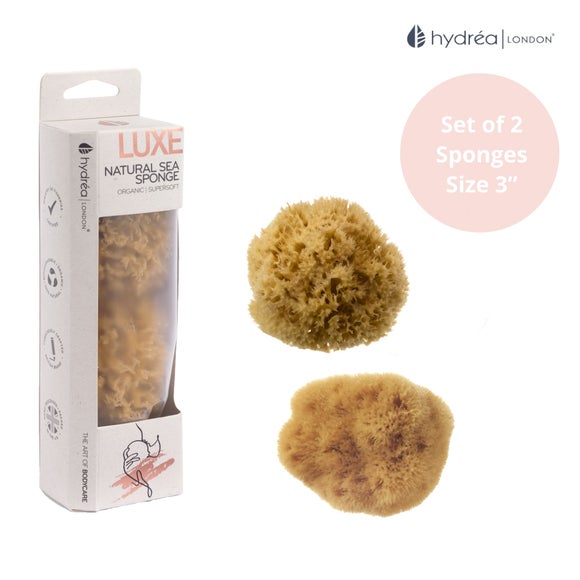 Hydrea London Mediterranean Set of 2 Baby Sea Sponges