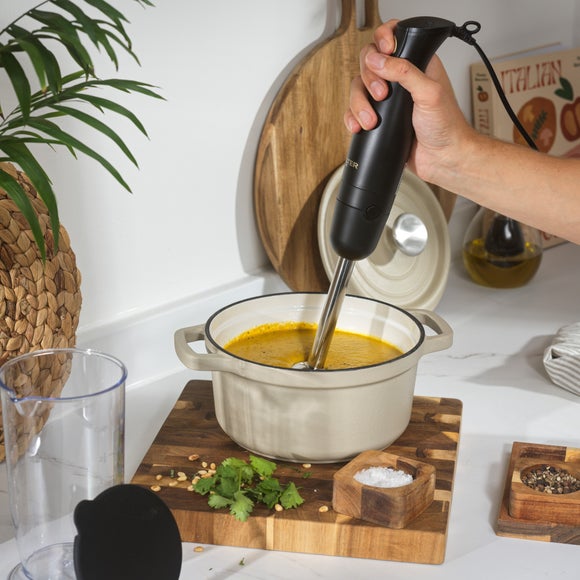 Salter Alchemy Hand Blender Set