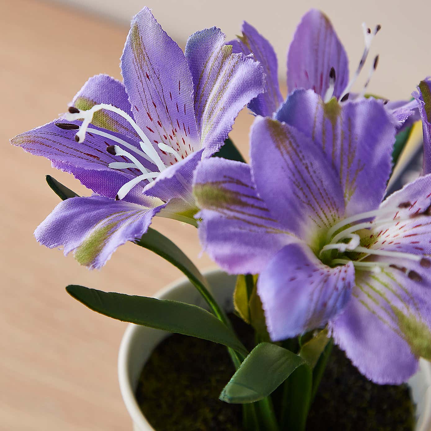 Carousel zoom image position 2 of 3