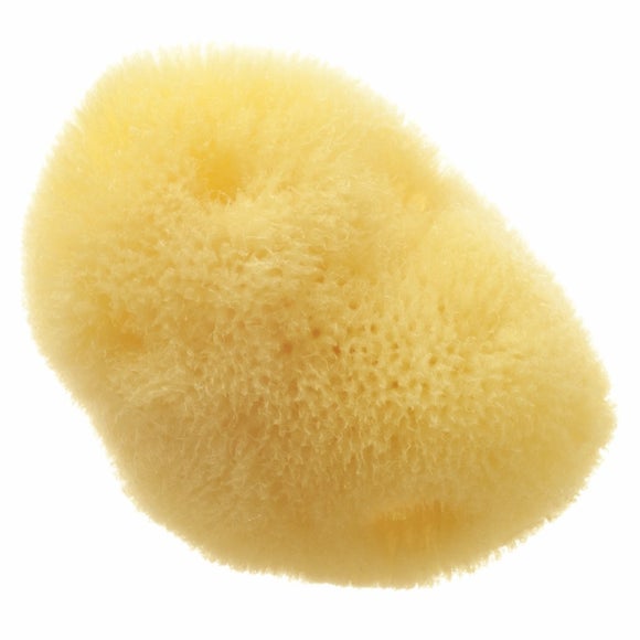 Hydrea London Fina Silk Sea Sponge