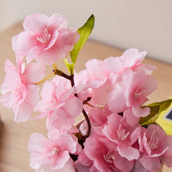 Carousel navigation image position 2 of 3