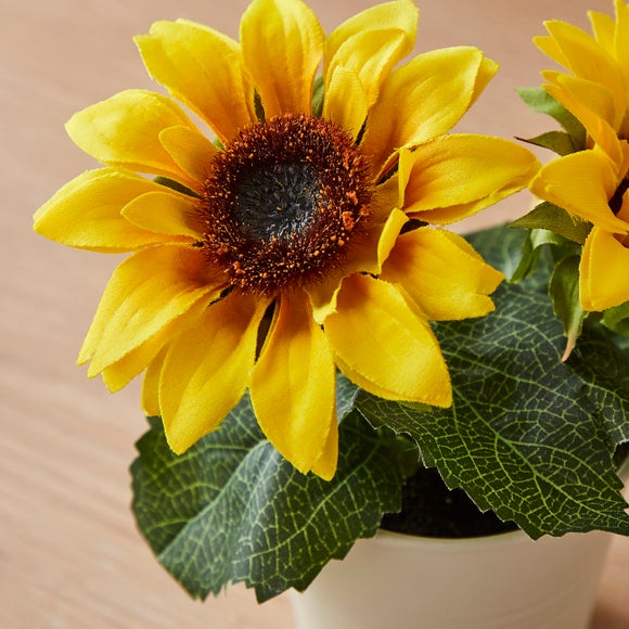 Carousel navigation image position 2 of 3