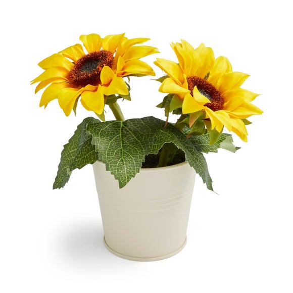 Carousel navigation image position 3 of 3