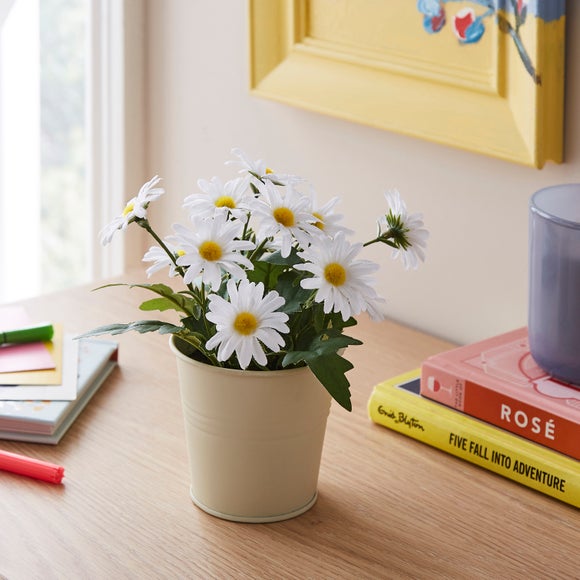 Artificial White Daisies in White Plant Pot