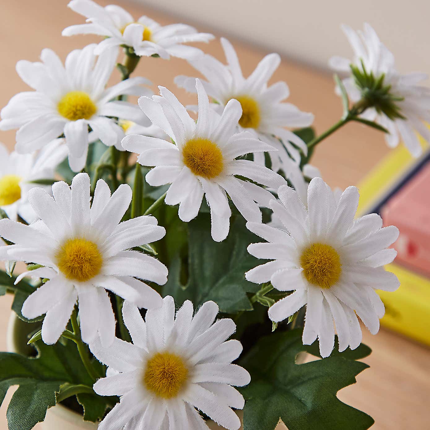 Carousel zoom image position 2 of 3