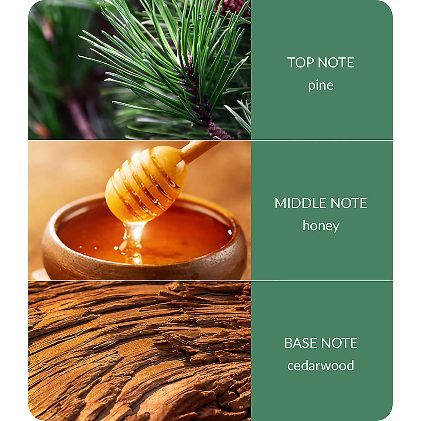 Carousel zoom image position 3 of 3