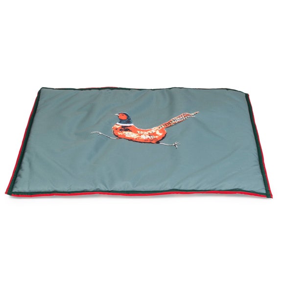 Click to view product details and reviews for House Of Paws Pheasant Boot Mat.