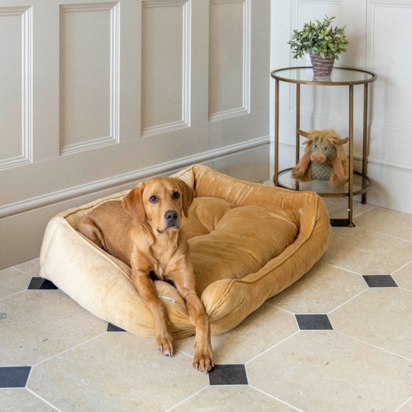 House of Paws Velvet Square Bed