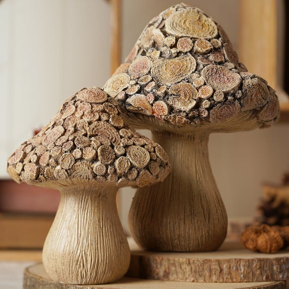 Carousel navigation image position 4 of 5