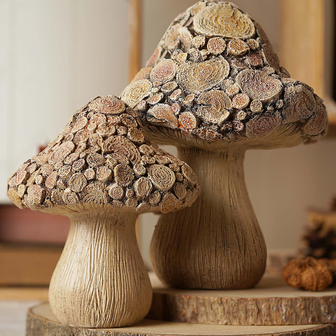 Carousel zoom image position 4 of 5