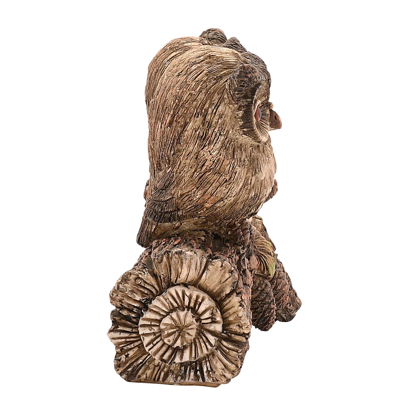 Carousel zoom image position 4 of 6