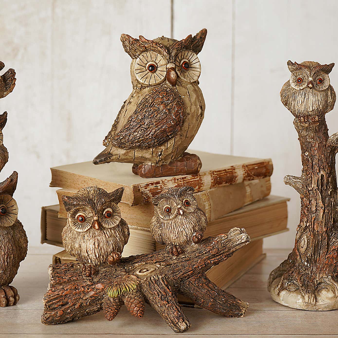 Carousel zoom image position 6 of 6