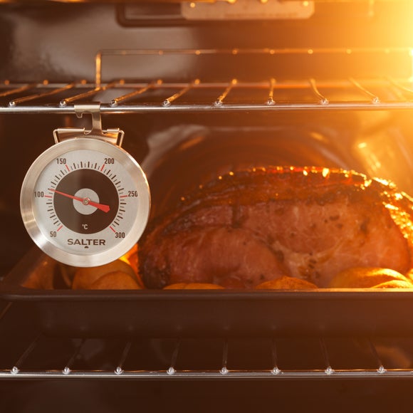 Salter Analogue Stainless Steel Oven Thermometer
