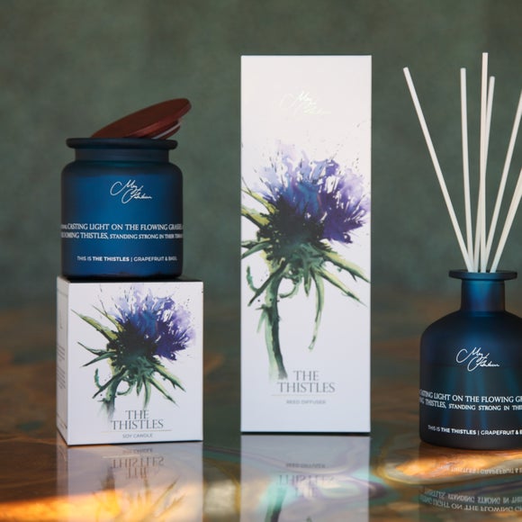 Carousel navigation image position 3 of 4