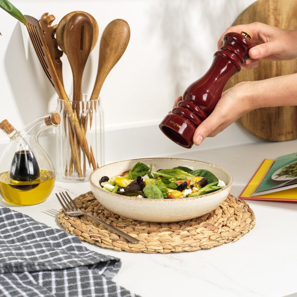 Salter Chester Universal Salt or Pepper Mill