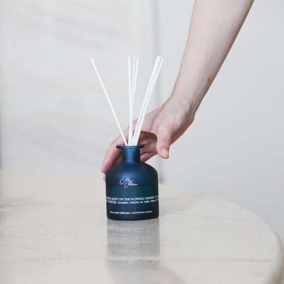 Carousel navigation image position 2 of 3