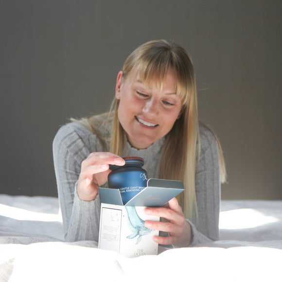 Carousel navigation image position 3 of 4