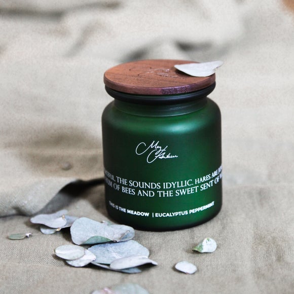 Carousel navigation image position 2 of 4