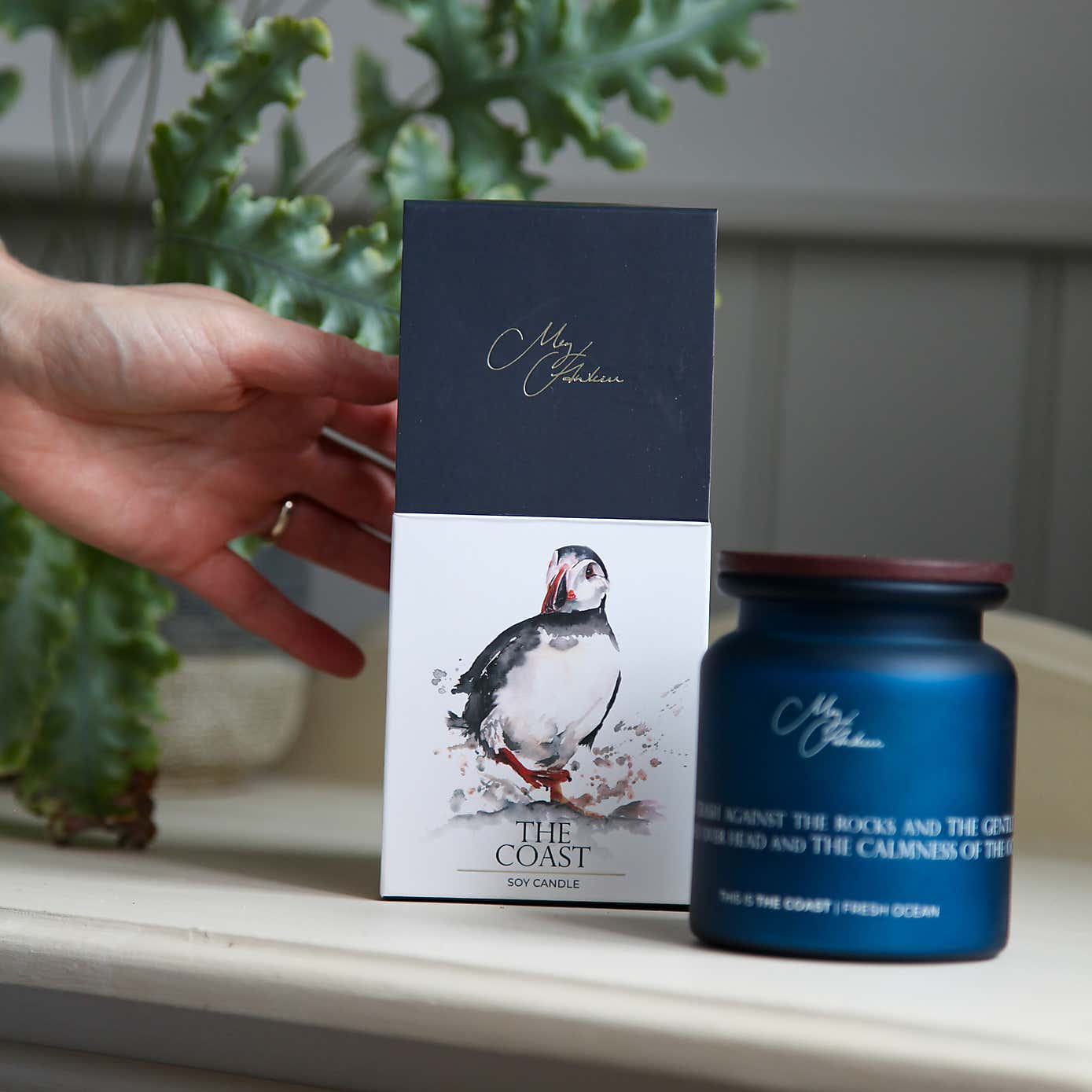 Carousel zoom image position 4 of 4