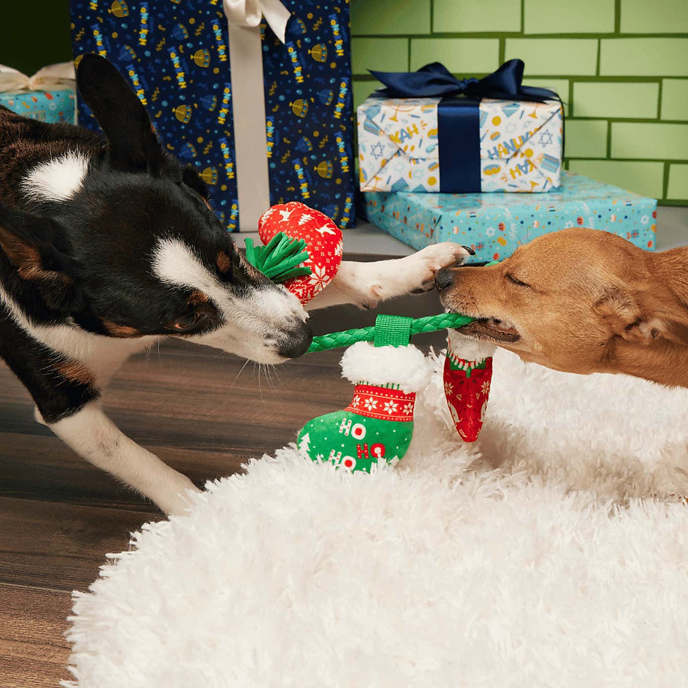 Carousel zoom image position 2 of 3