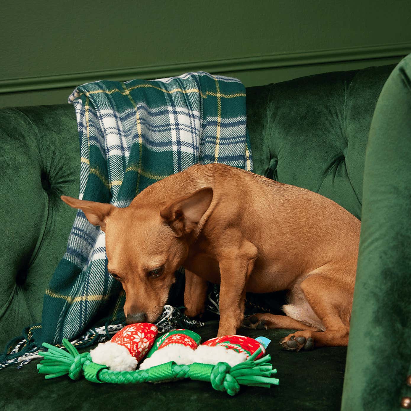 Carousel zoom image position 3 of 3