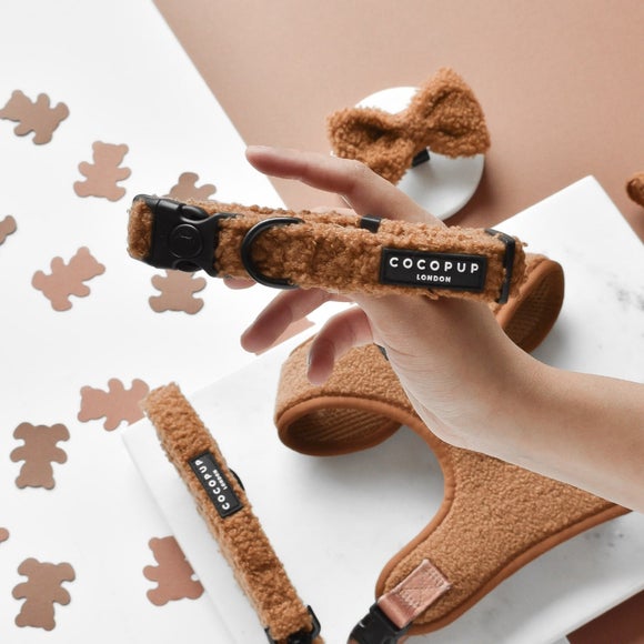 Cocopup Paddington Dog Collar