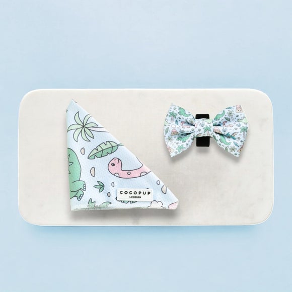 Carousel navigation image position 3 of 3