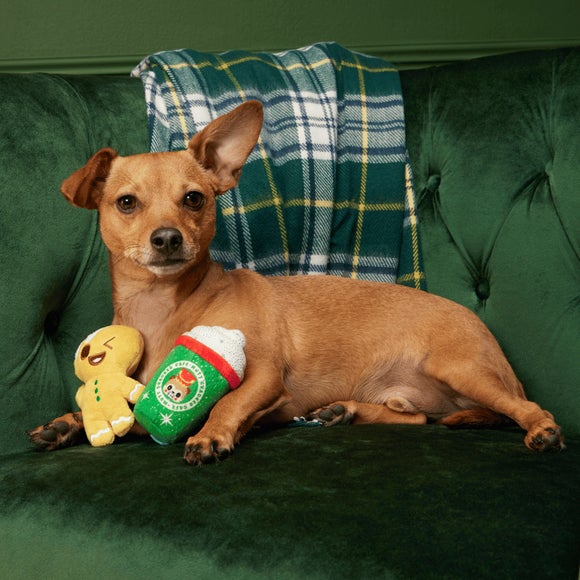 Carousel navigation image position 2 of 3