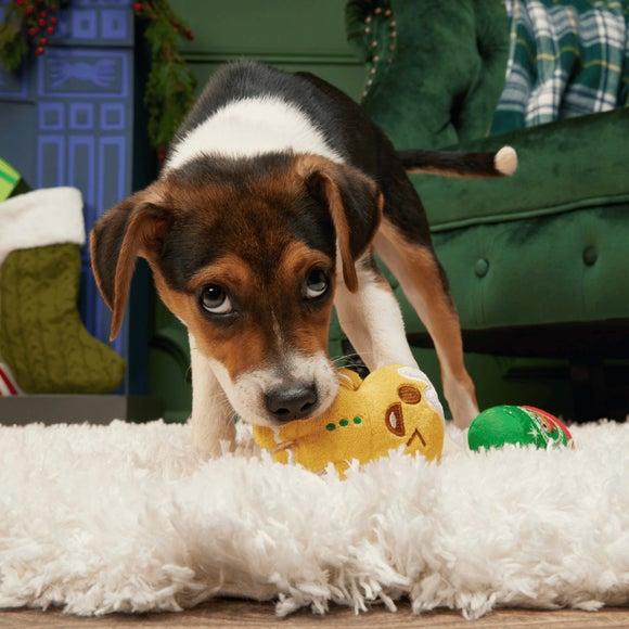 Carousel navigation image position 3 of 3