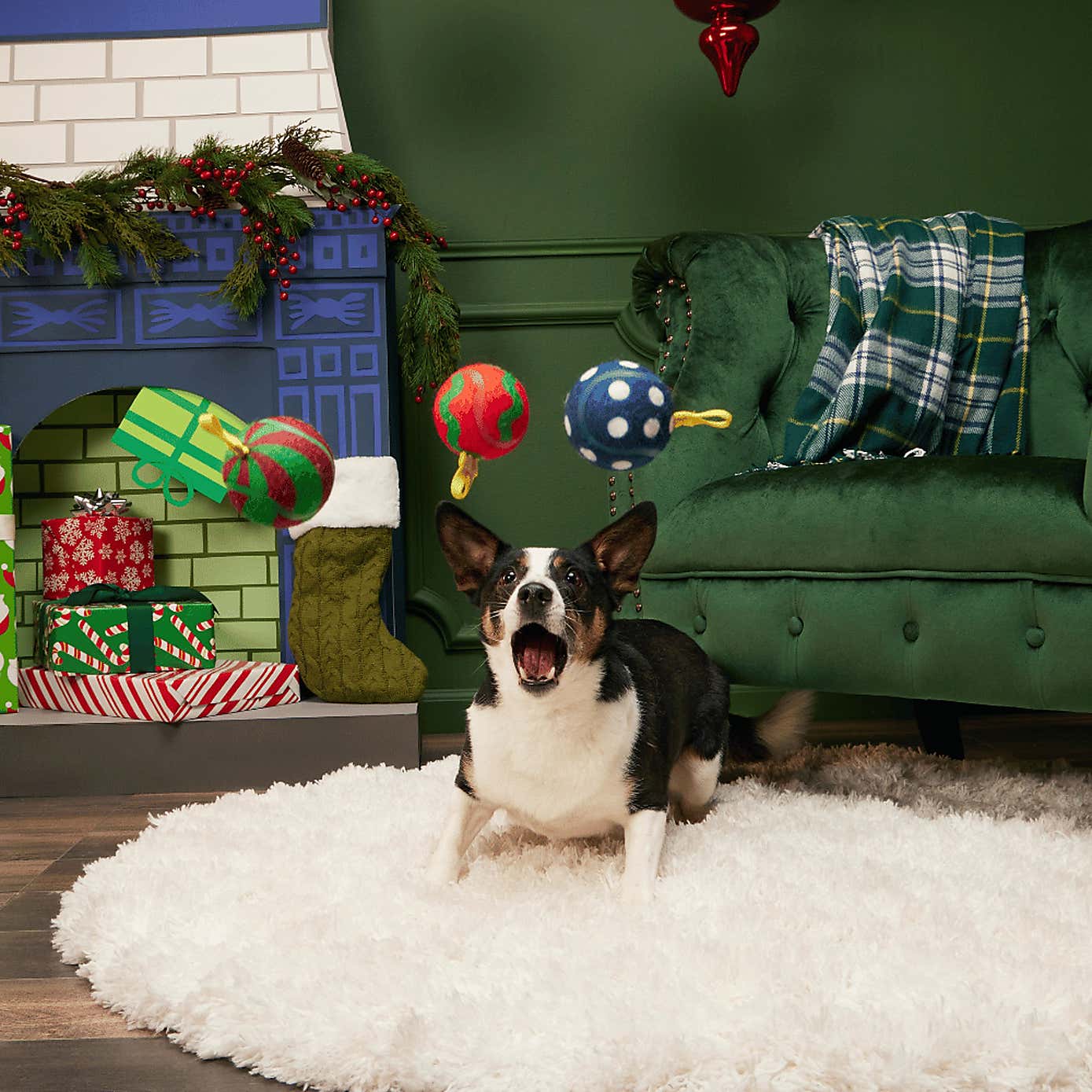 Carousel zoom image position 2 of 3