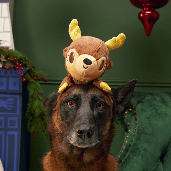 Bark Christmas Splootolph Dog Toy