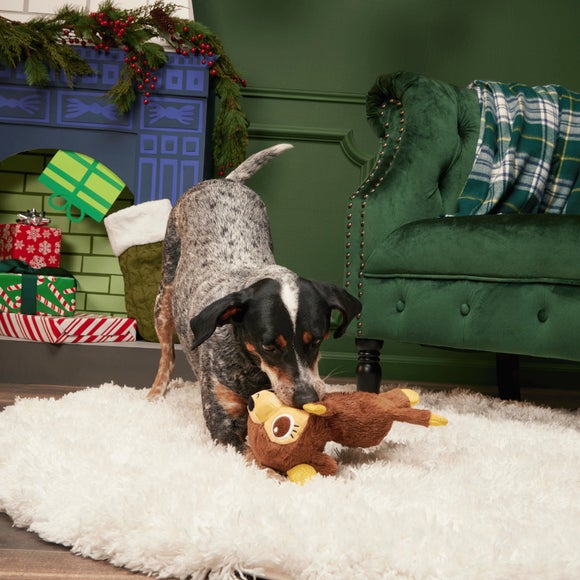 Carousel navigation image position 2 of 3