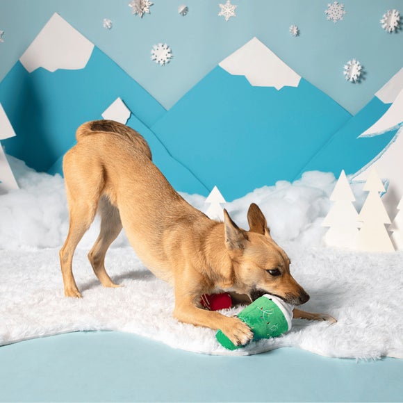 Carousel navigation image position 2 of 2