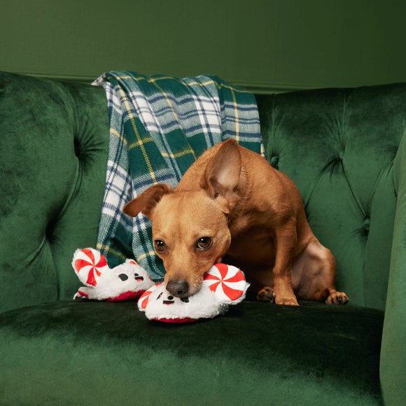 Carousel navigation image position 3 of 3