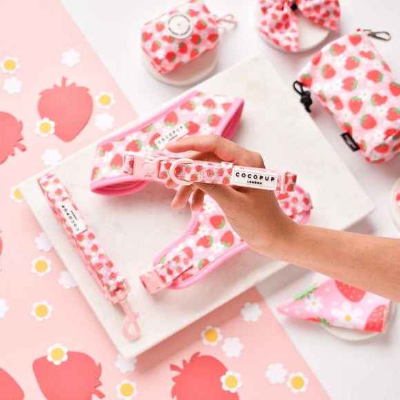 Cocopup Pupberry Fields Dog Collar